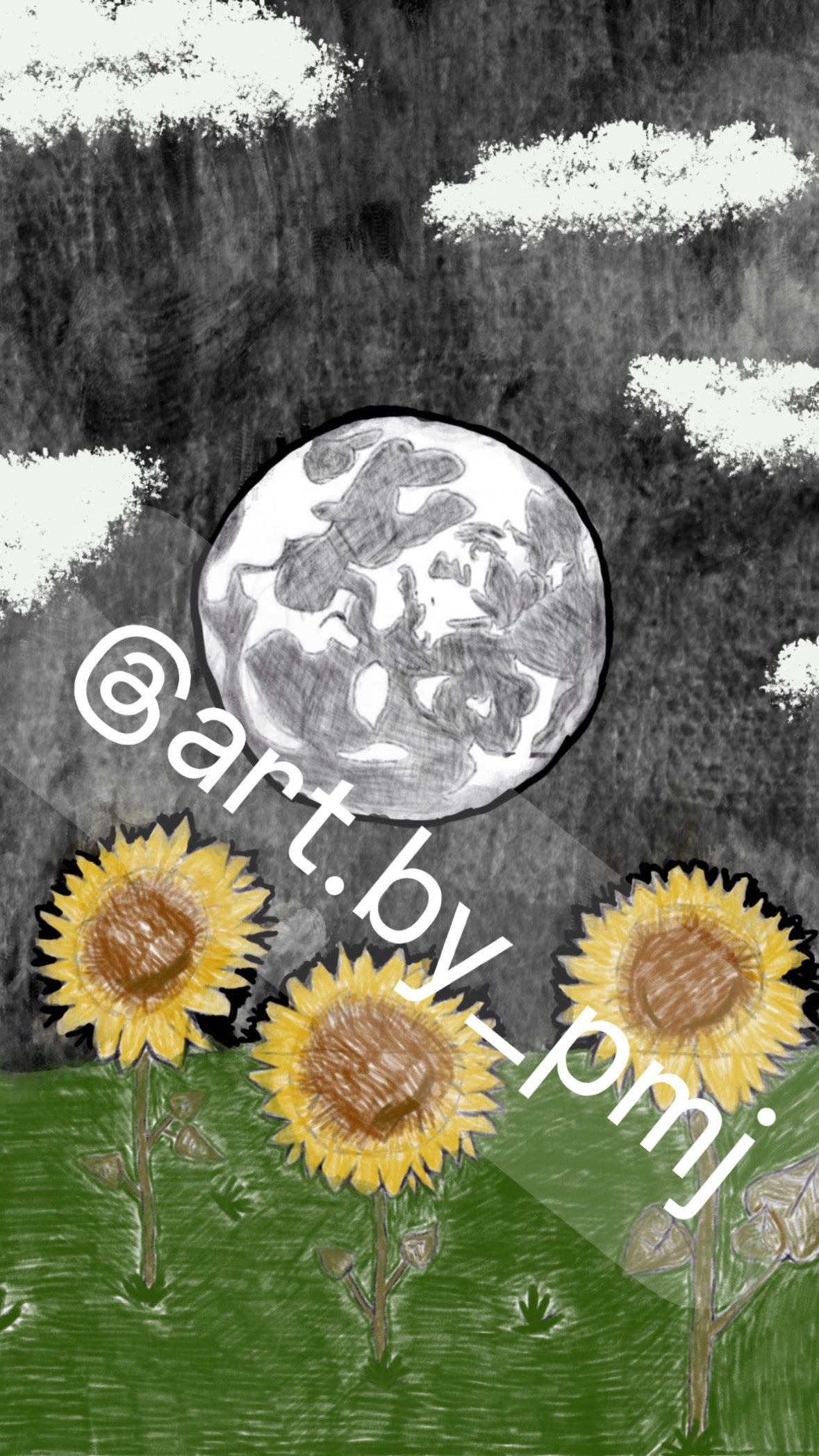 Sunflower Night.